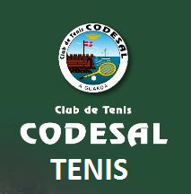 Cartel del TORNEO SOCIAL TENIS 2016 C.T. CODESAL